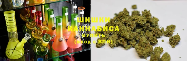 стаф Верхний Тагил