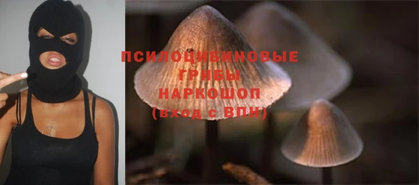 стаф Верхний Тагил